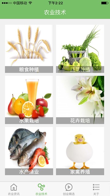 屏幕截图