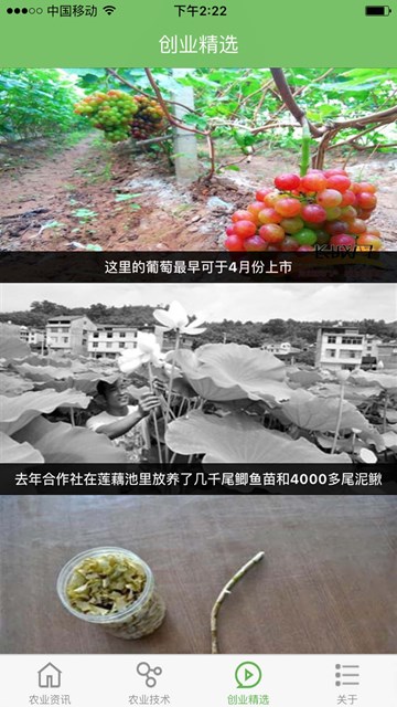 屏幕截图