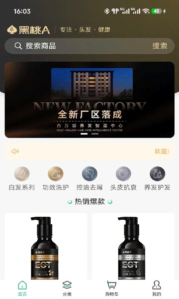 屏幕截图
